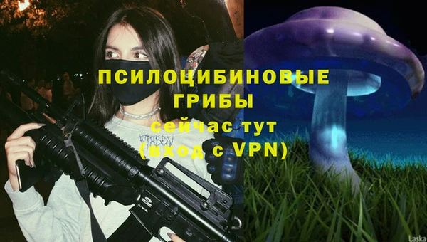 бутират Верея